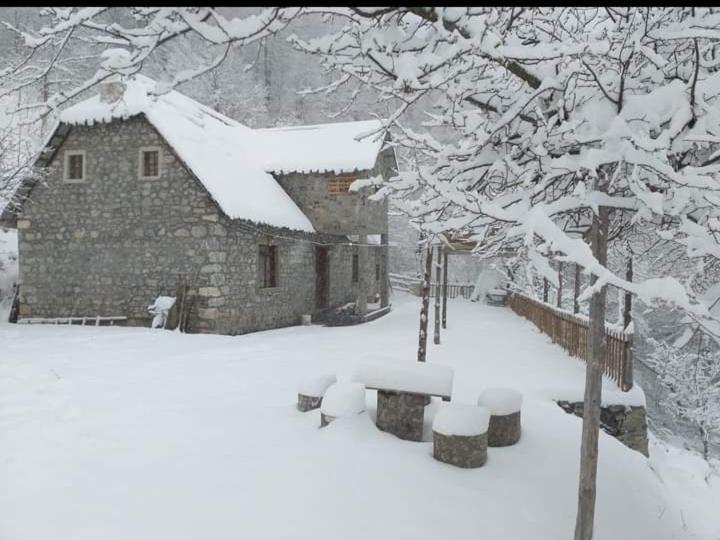 Guest House Gjelaj Theth Exterior photo