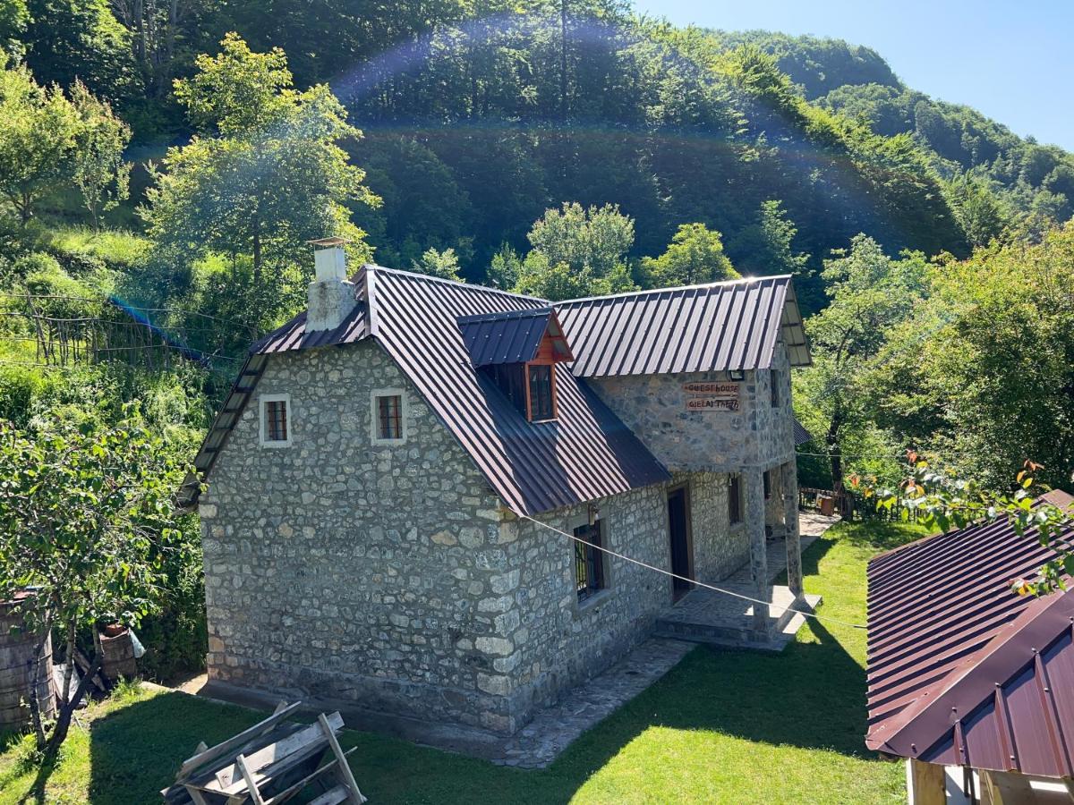Guest House Gjelaj Theth Exterior photo